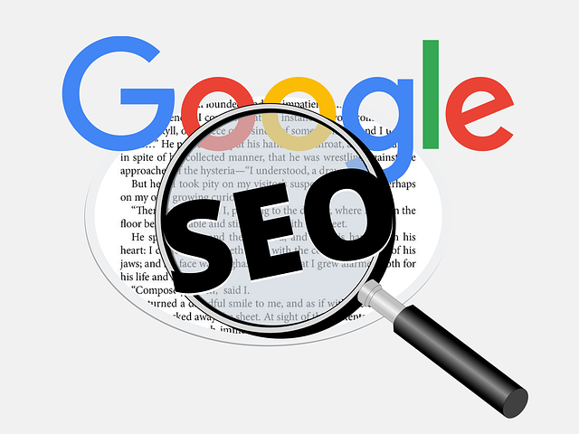 Référencement SEO & SEA - agence Panda Marketing Digital à Béziers